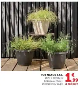 U Express Pot naxos offre