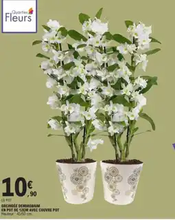 E.Leclerc Orchidée dendrobium en pot de avec couvre pot offre