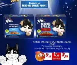 Coccinelle Express Tendres effilés pour chat adulte en gelée felix offre