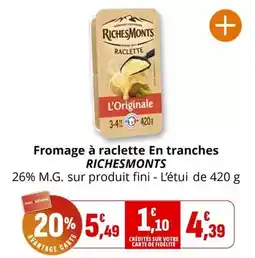 Coccinelle Supermarché Richesmonts - fromage à raclette en tranches offre