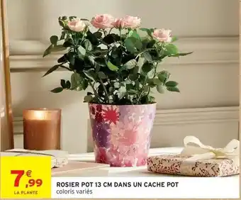 Zeeman String femme offre