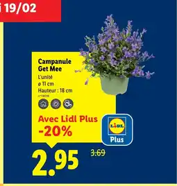 Lidl Campanule Get Mee offre