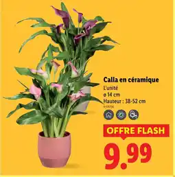 Lidl Calla en céramique offre