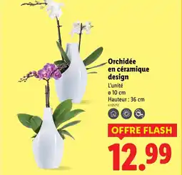 Lidl Orchidée en céramique design offre