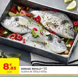 Intermarché Hyper Dorade royale offre