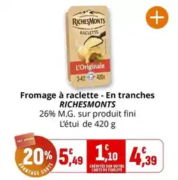 Coccinelle Express Richesmonts - fromage à raclette - en tranches offre