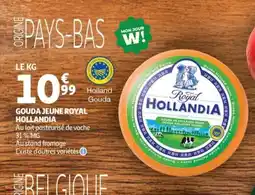 Auchan ROYAL HOLLANDIA Gouda jeune offre