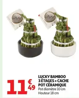 Auchan Lucky bamboo 3étages+cache pot céramique offre