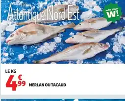 Auchan Merlan ou tacaud offre