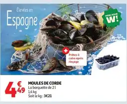 Auchan Moules de corde offre