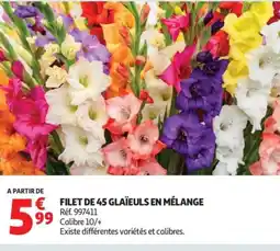 Auchan Filet de 45 glaïeuls en mélange offre