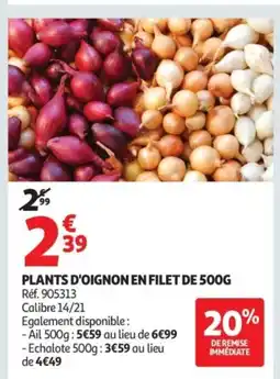 Auchan Plants d'oignon en filet offre
