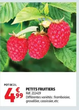 Auchan Petits fruitiers offre