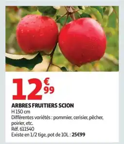 Auchan Arbres fruitiers scion offre