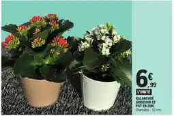 E.Leclerc KALANCHOÉ ARROSOIR ET POT EN ZINC offre