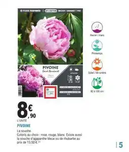 E.Leclerc Pivoine offre