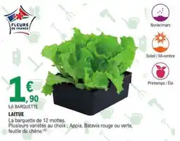 E.Leclerc LAITUE offre