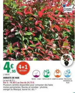 E.Leclerc ARBUSTE DE HAIE offre