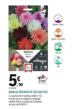 E.Leclerc DAHLIA DÉCORATIF OU CACTUS offre