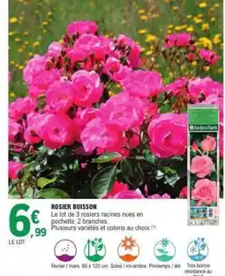 E.Leclerc Rosier buisson offre