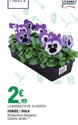 E.Leclerc PENSÉE / VIOLA offre