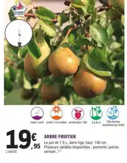 E.Leclerc Arbre fruitier offre