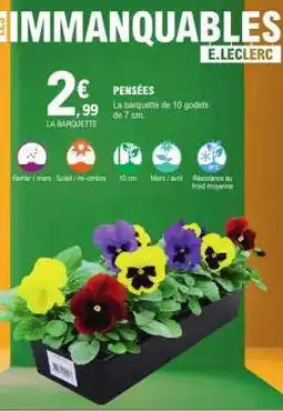 E.Leclerc Pensées offre