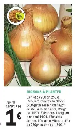 E.Leclerc OIGNONS À PLANTER offre