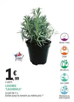 E.Leclerc LAVANDE LAVANDULA offre