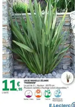 E.Leclerc LIN DE NOUVELLE ZÉLANDE 'PHORMIUM' offre