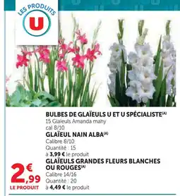 Hyper U U bulbes de glaïeuls offre