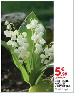 Hyper U U griffes de muguet nantais offre