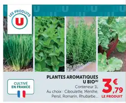Hyper U U bio plantes aromatiques offre