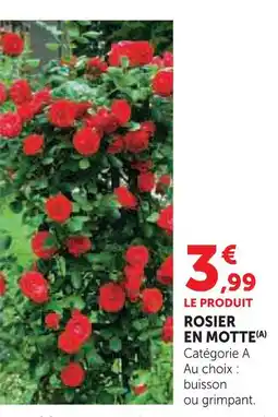 Super U Rosier en motte buisson offre