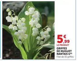 Super U U griffes de muguet nantais offre