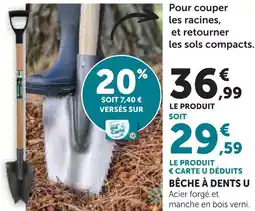Super U U bêche à dents offre