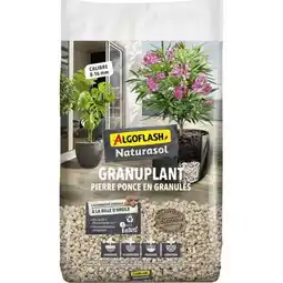 Carrefour Algoflash pierre ponce en granulés offre