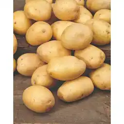 Carrefour Pomme de terre bio offre