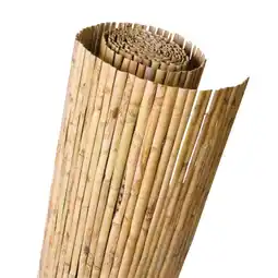 Carrefour Ideal garden canisse roseau fendu offre