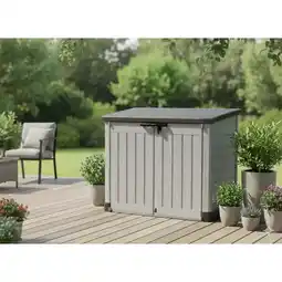 Carrefour Keter coffre store it out max offre