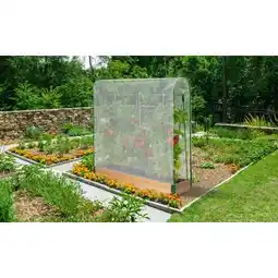 Carrefour Jardikt serre à tomates offre