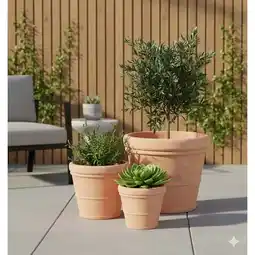 Carrefour Hyba pot terre cuite volterra offre