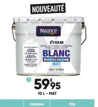 Bricorama Peinture monocouche nuance 10 L offre