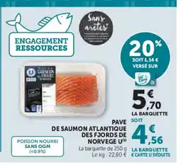 U Express U Pave de saumon atlantique des fjords de norvege offre