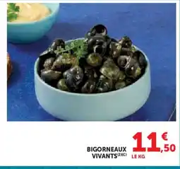 U Express Bigorneaux vivants offre