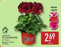 ALDI Gardenline pelargonium offre