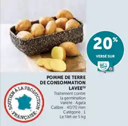 Super U Pomme de terre de consommation lavee offre
