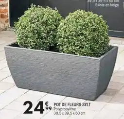 La Foir'Fouille Pot de fleurs sylt offre