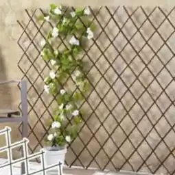 La Foir'Fouille Treillis osier offre