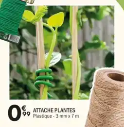 La Foir'Fouille Attache plantes offre